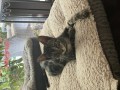 sam (2)